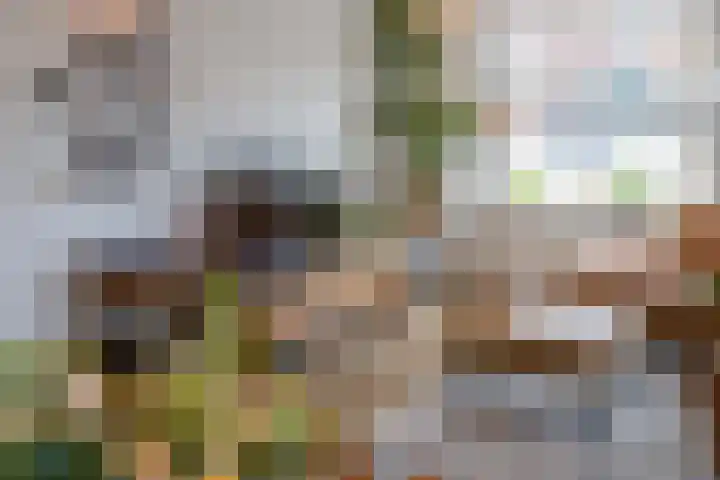 Hegeterp 1 Workum thumbnail 19