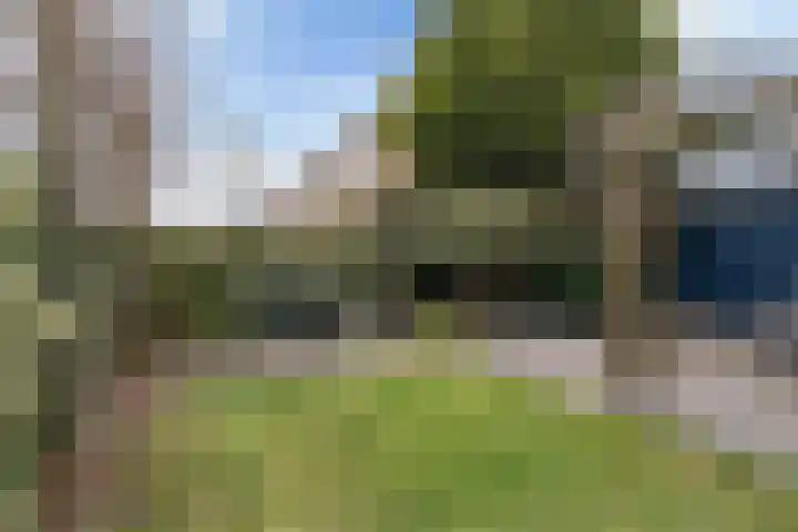 Hegeterp 1 Workum thumbnail 22
