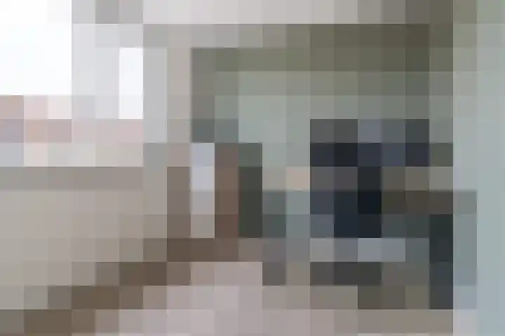 Hegeterp 1 Workum thumbnail 28