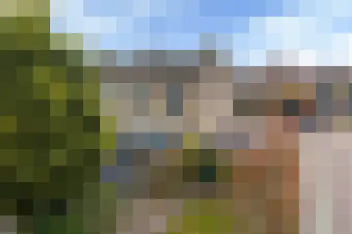 Hegeterp 1 Workum thumbnail 41