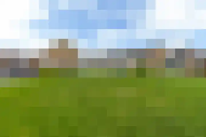 Hegeterp 1 Workum thumbnail 42