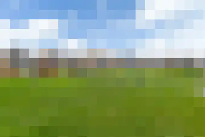 Hegeterp 1 Workum thumbnail 43
