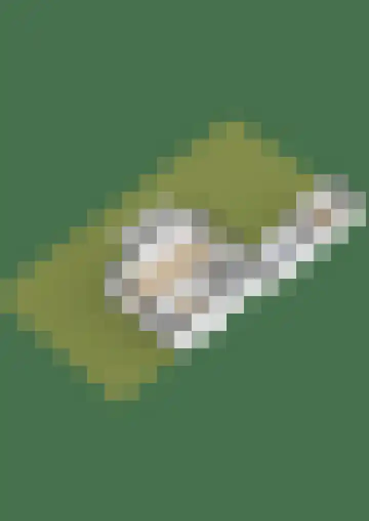 Hegeterp 1 Workum thumbnail 51