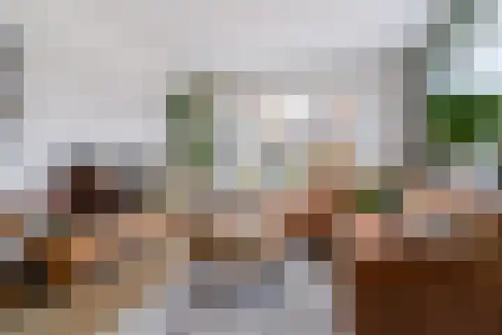 Hegeterp 1 Workum thumbnail 9