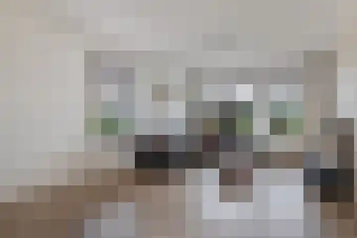 Hegeterp 31 Winsum thumbnail 12