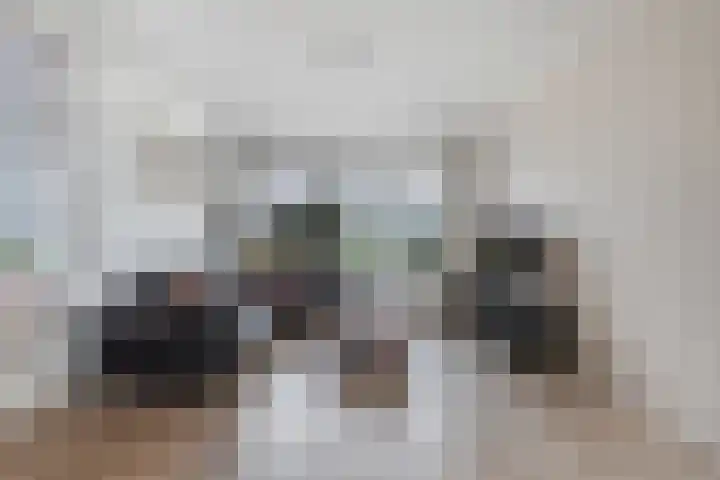 Hegeterp 31 Winsum thumbnail 13