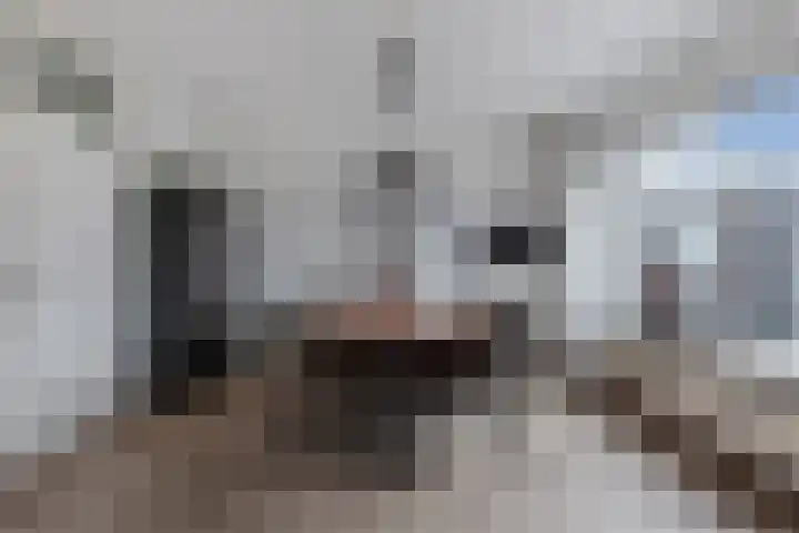 Hegeterp 31 Winsum thumbnail 19