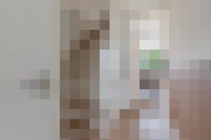 Hegeterp 31 Winsum thumbnail 24