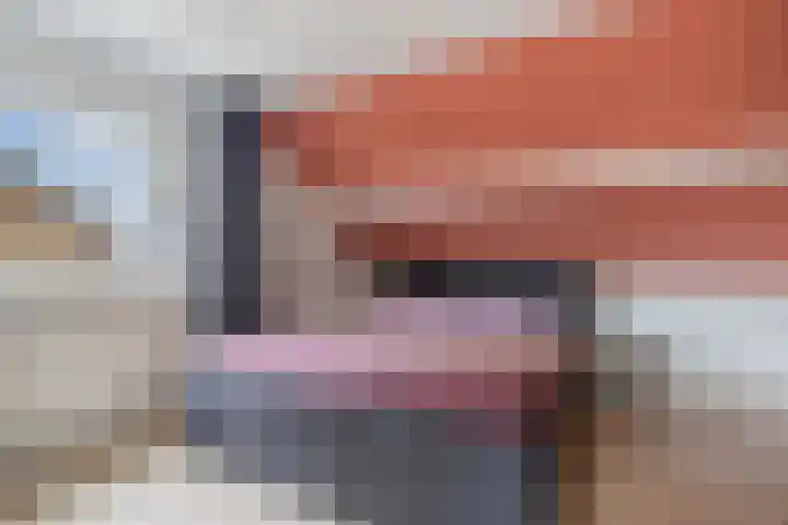 Hegeterp 31 Winsum thumbnail 29