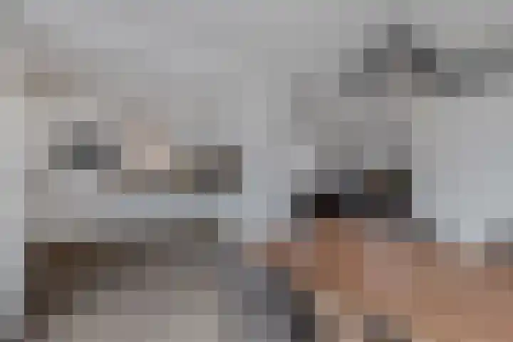 Hegeterp 31 Winsum thumbnail 4
