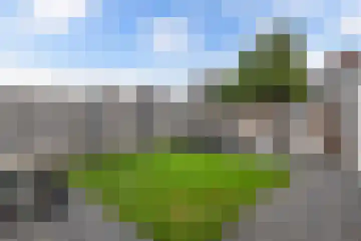 Hegeterp 31 Winsum thumbnail 40