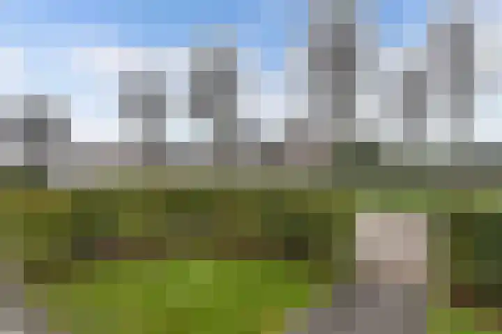 Hegeterp 31 Winsum thumbnail 7
