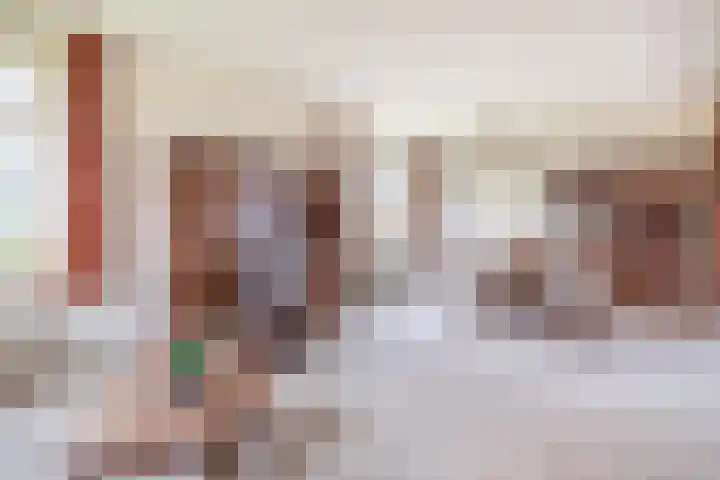 Hegewei 41 Opeinde thumbnail 11
