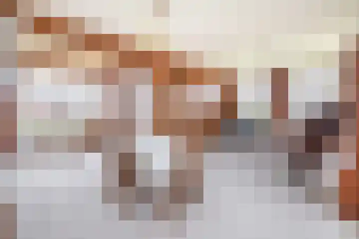 Hegewei 41 Opeinde thumbnail 13