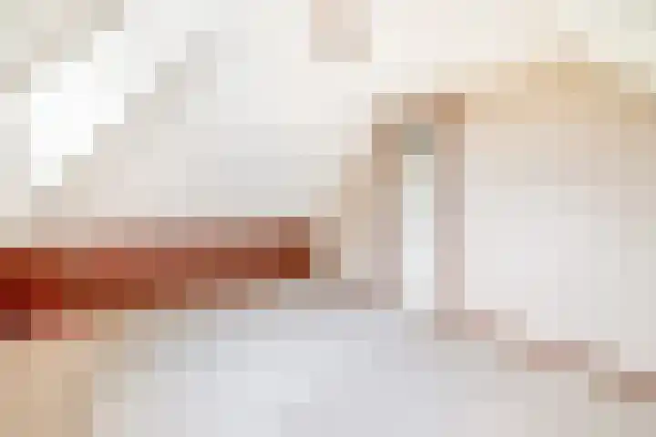 Hegewei 41 Opeinde thumbnail 29