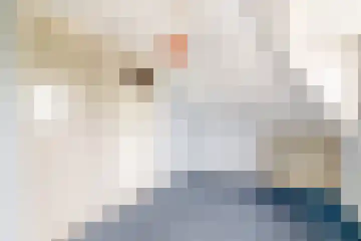 Hegewei 41 Opeinde thumbnail 33