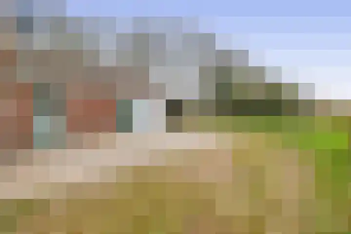 Hegewei 41 Opeinde thumbnail 34