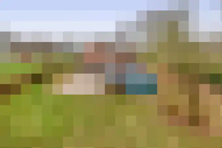 Hegewei 41 Opeinde thumbnail 38