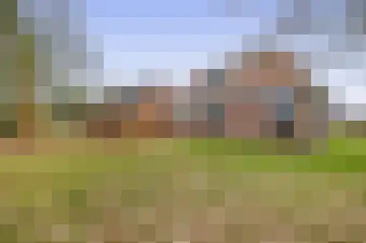 Hegewei 41 Opeinde thumbnail 40