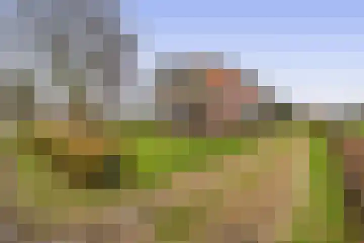 Hegewei 41 Opeinde thumbnail 44