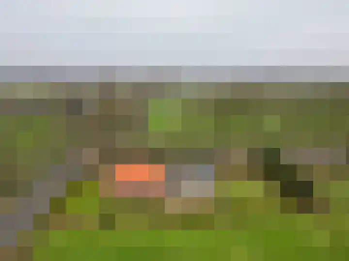 Hegewei 41 Opeinde thumbnail 49