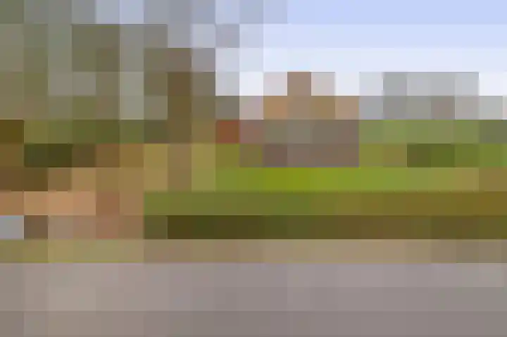 Hegewei 41 Opeinde thumbnail 5