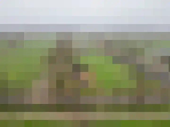 Hegewei 41 Opeinde thumbnail 50