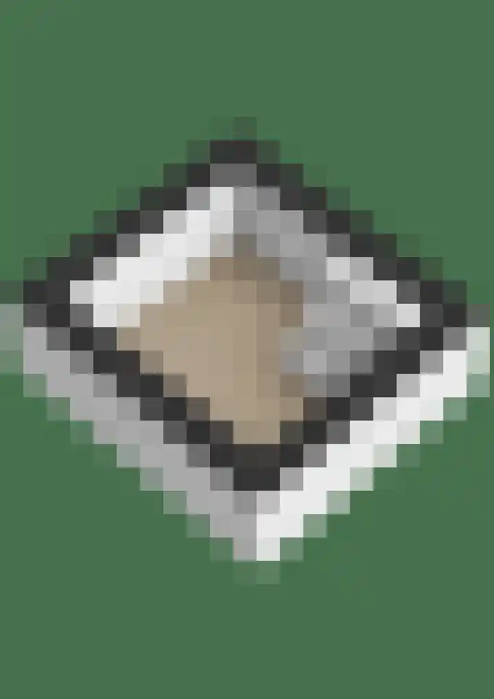 Hegewei 41 Opeinde thumbnail 56