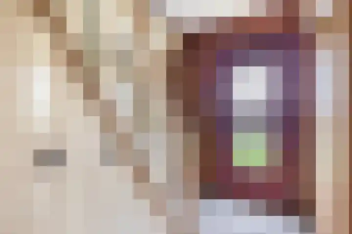 Hegewei 41 Opeinde thumbnail 6