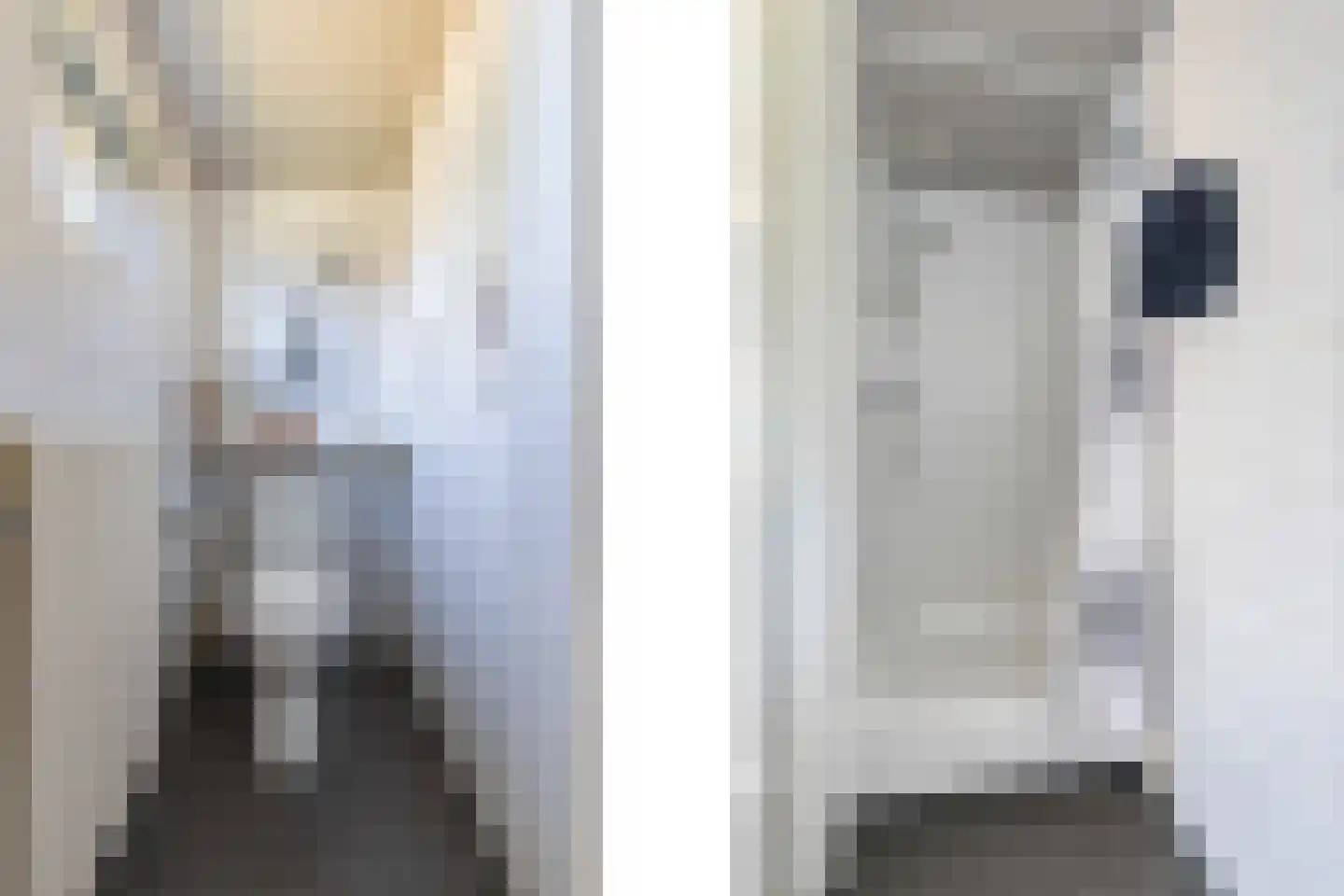 Hegge 24 Schinnen thumbnail 15