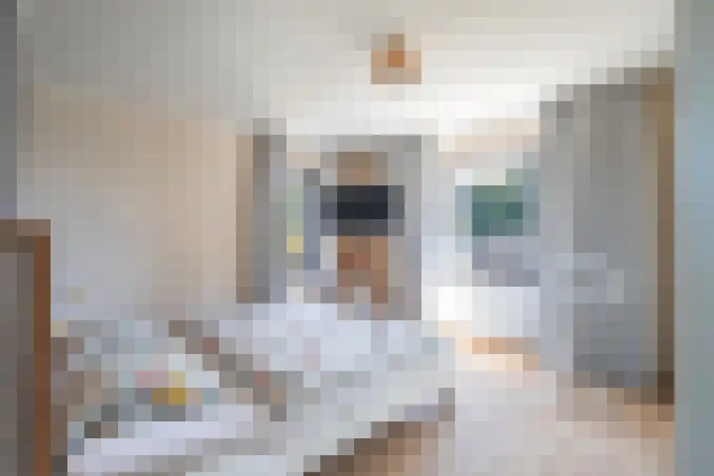 Hegge 24 Schinnen thumbnail 18