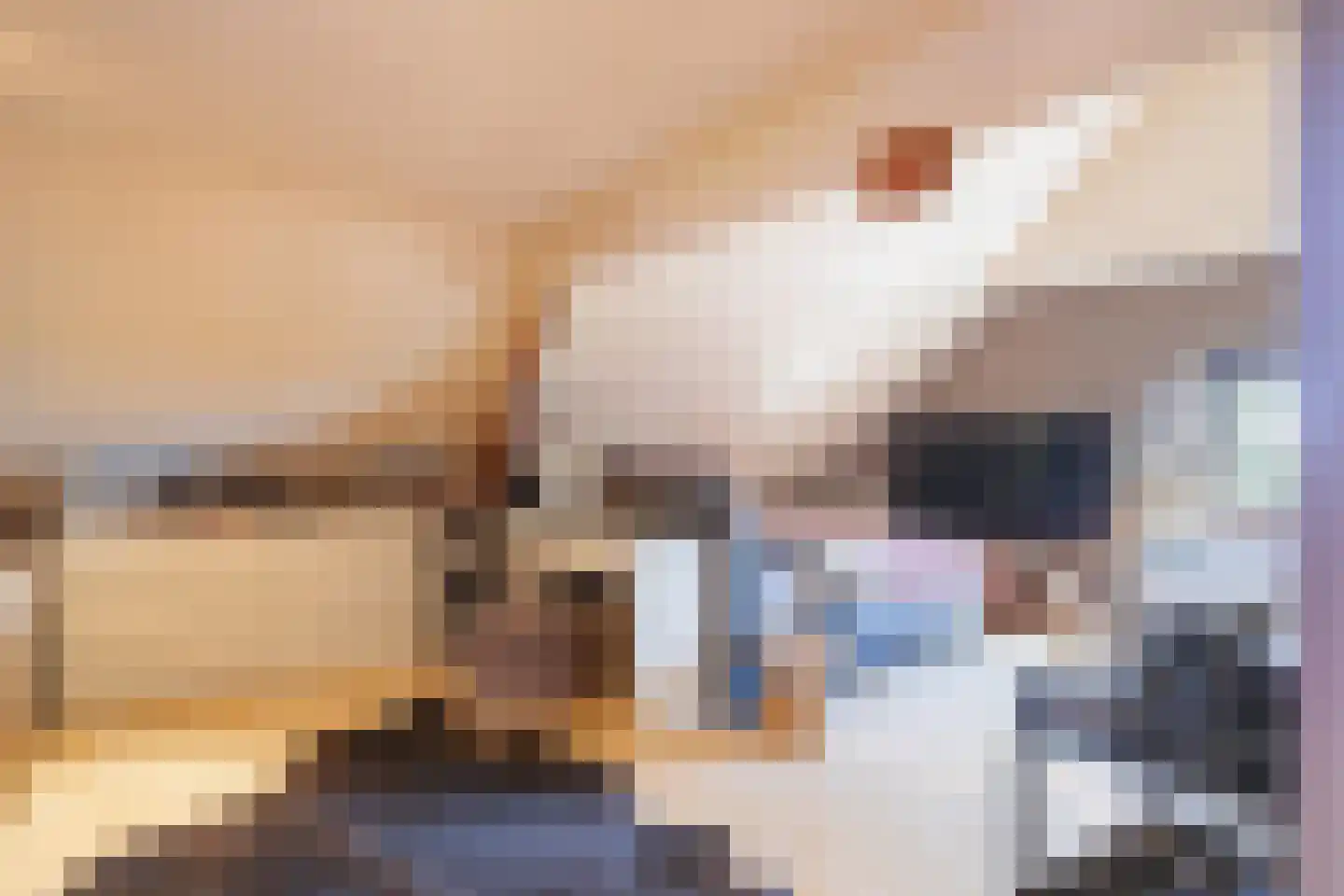 Hegge 24 Schinnen thumbnail 23