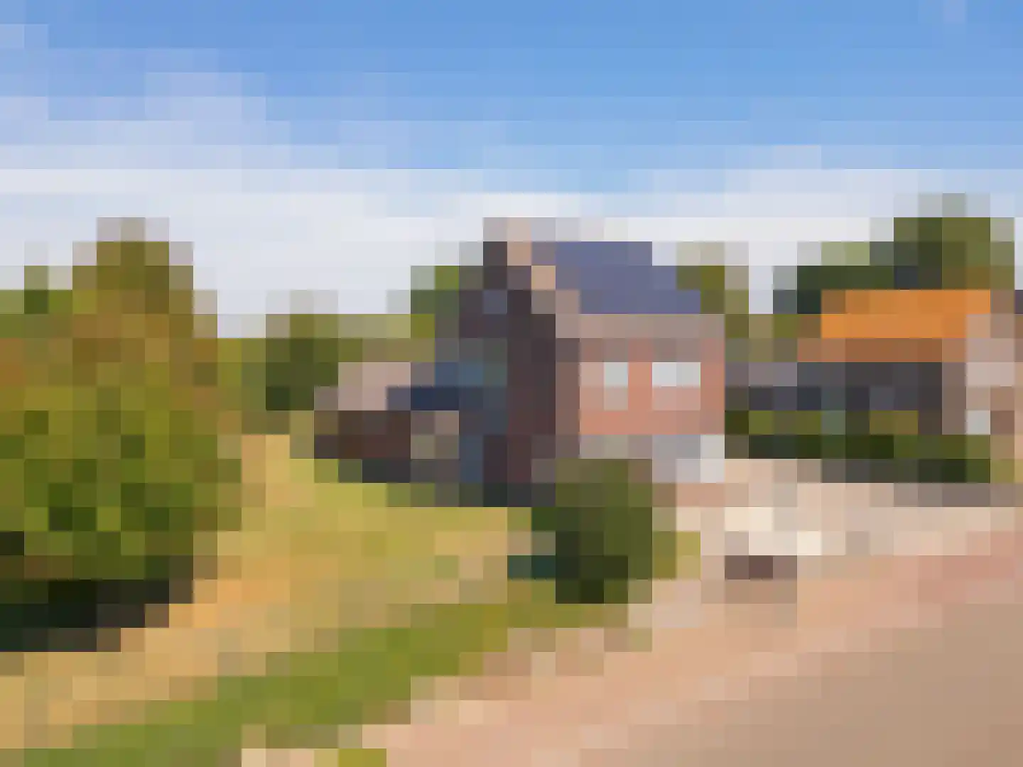 Hegge 24 Schinnen thumbnail 33