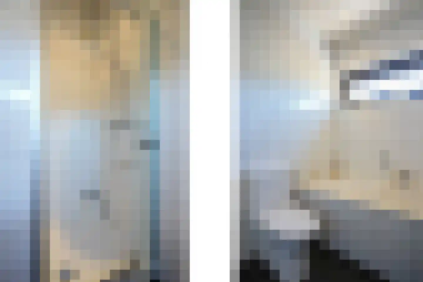 Hegge 3 Schinnen thumbnail 12