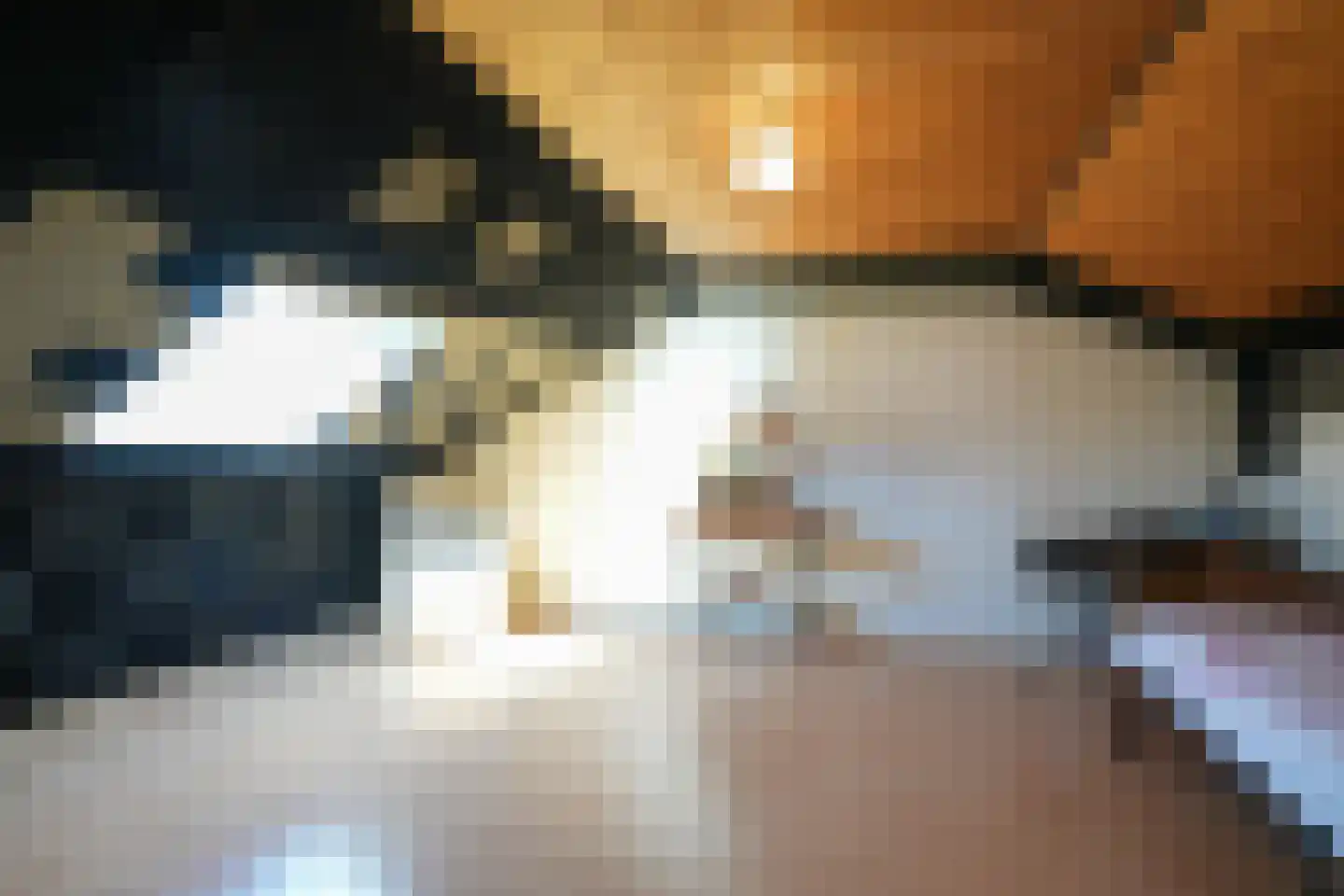 Hegge 3 Schinnen thumbnail 22