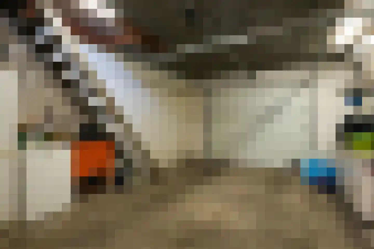 Hegge 3 Schinnen thumbnail 26
