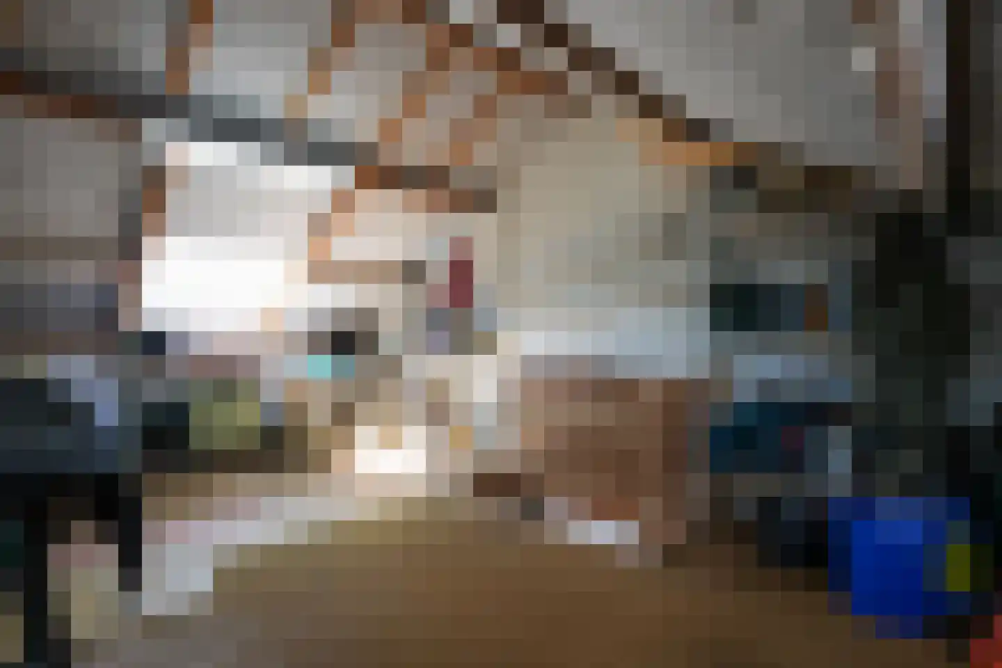 Hegge 3 Schinnen thumbnail 27