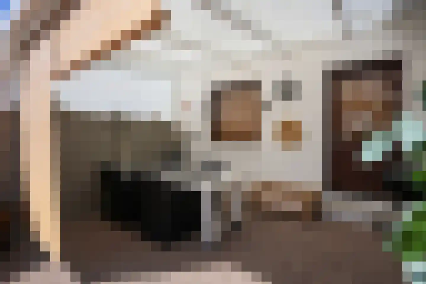 Hegge 3 Schinnen thumbnail 28