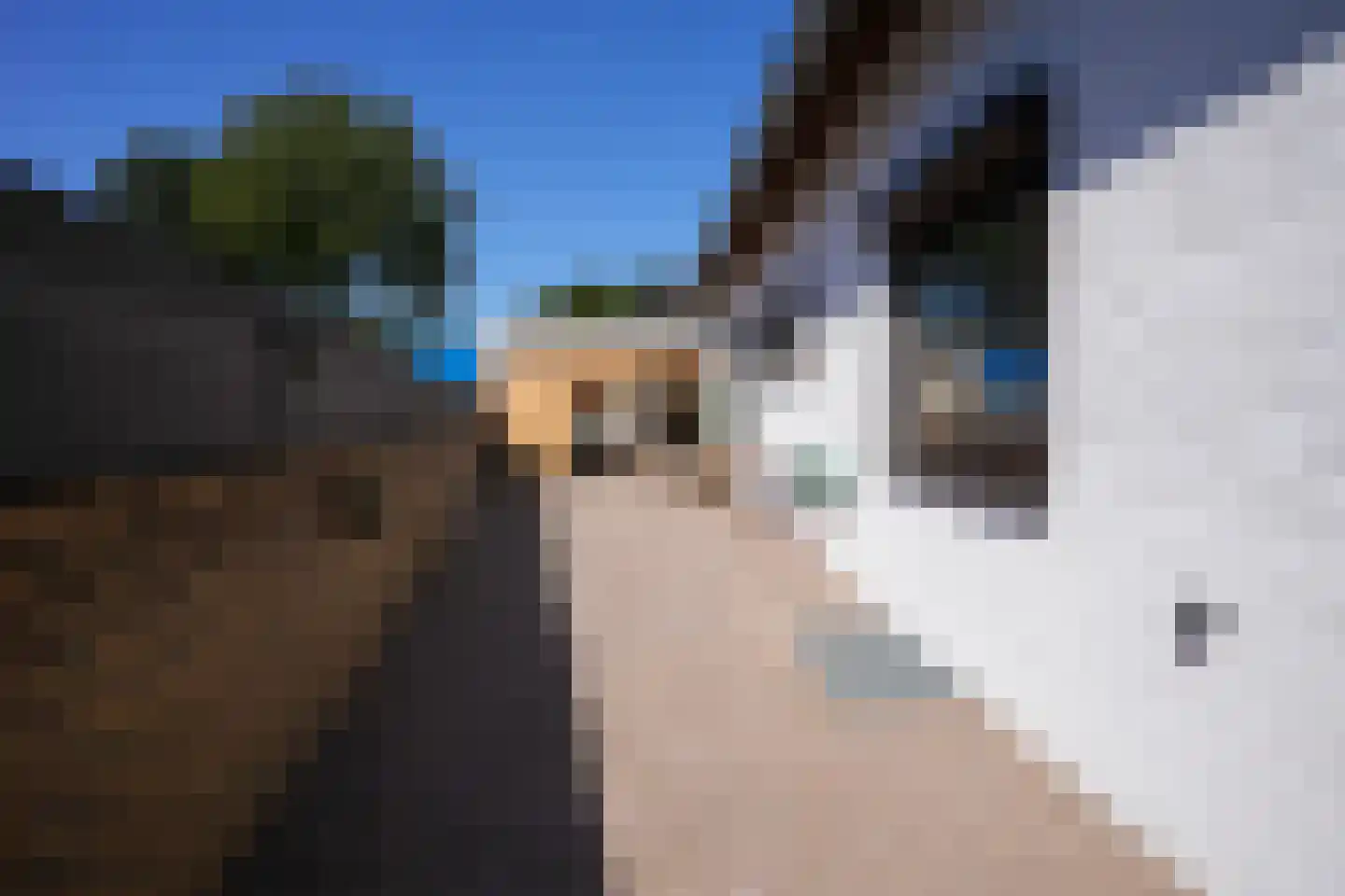 Hegge 3 Schinnen thumbnail 32