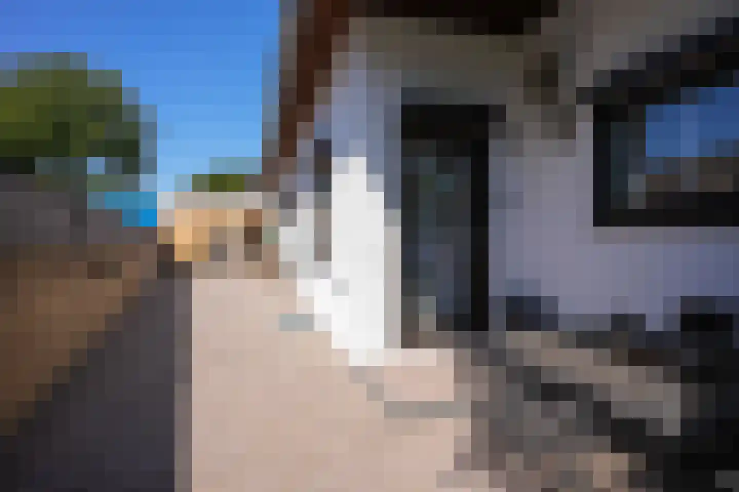 Hegge 3 Schinnen thumbnail 33