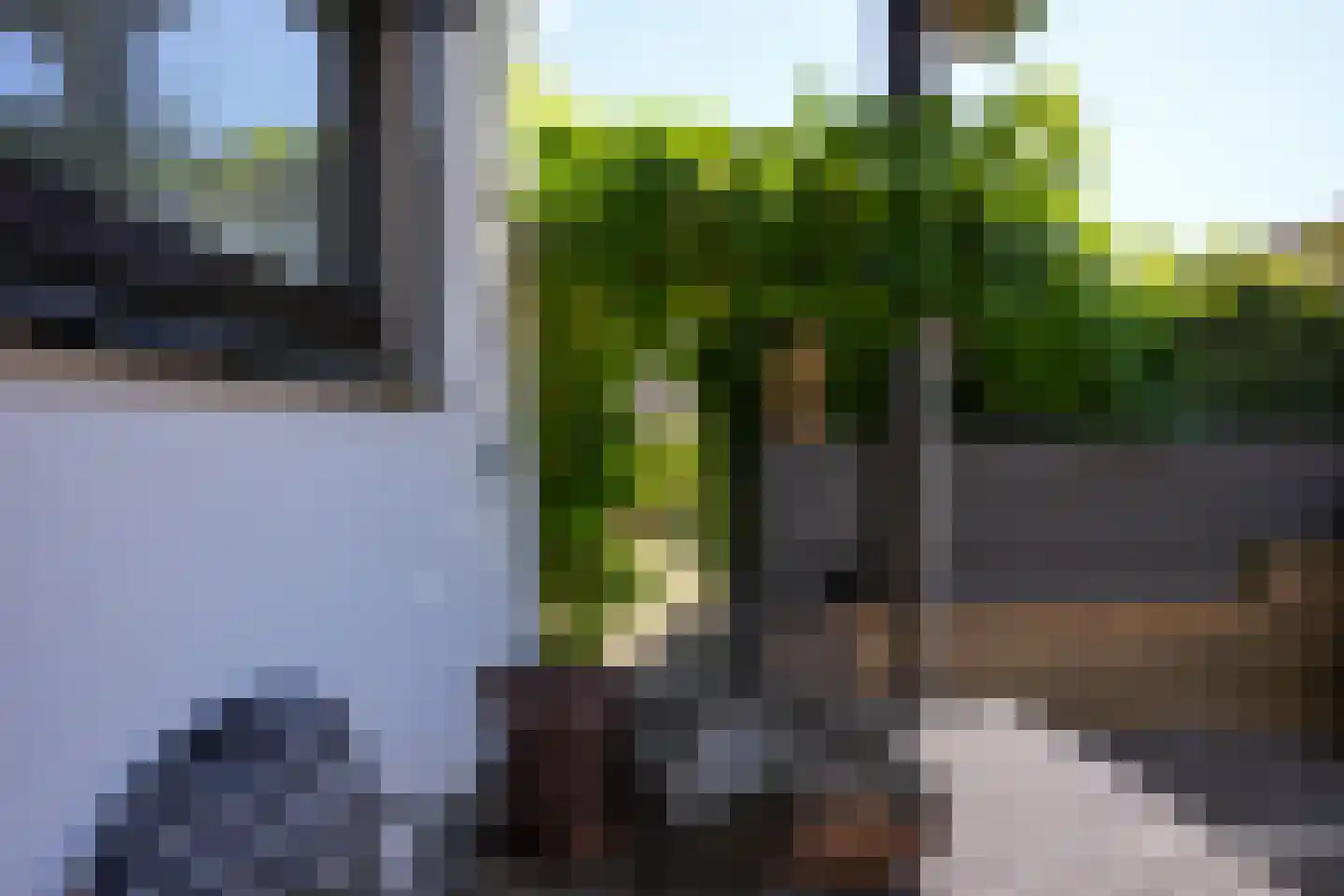 Hegge 3 Schinnen thumbnail 34
