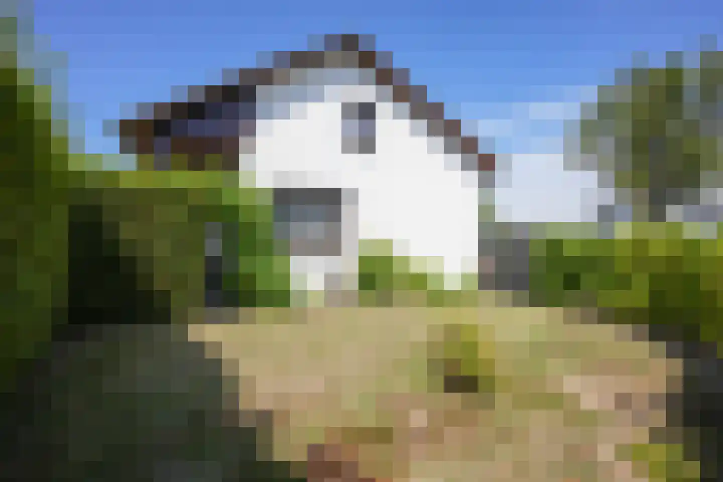 Hegge 3 Schinnen thumbnail 37