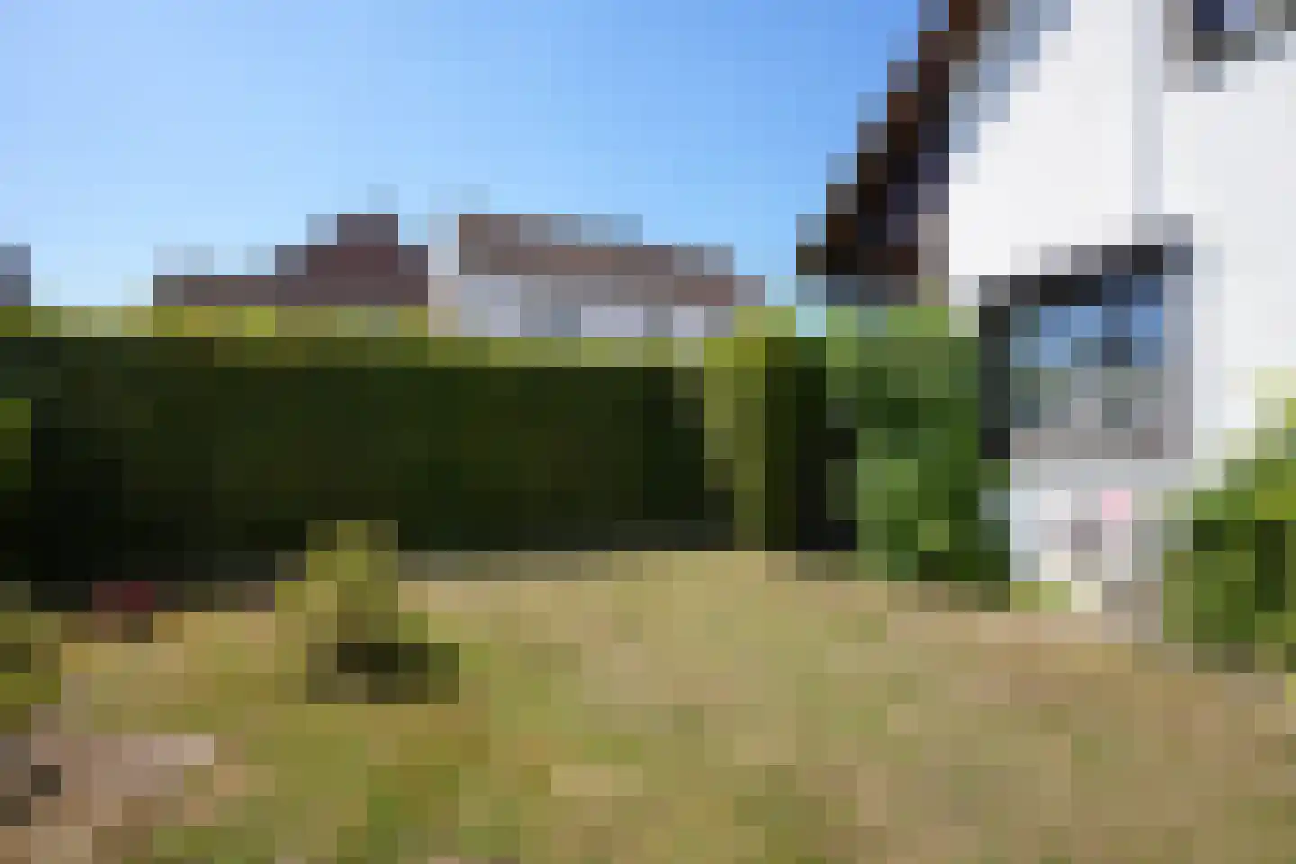 Hegge 3 Schinnen thumbnail 38
