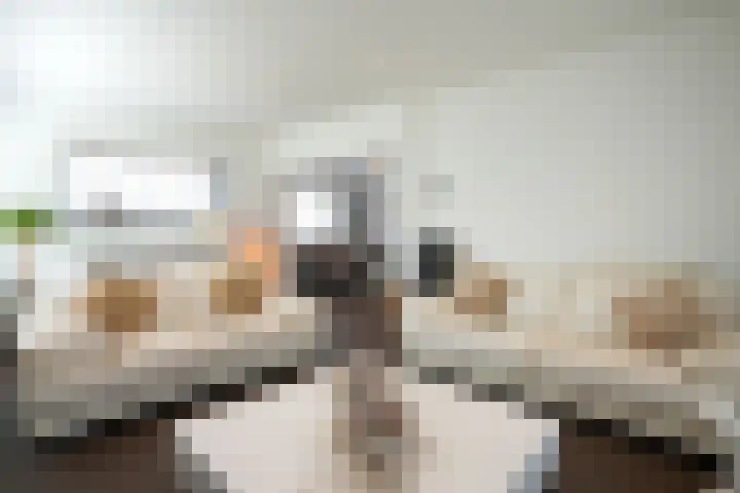Hegge 3 Schinnen thumbnail 4