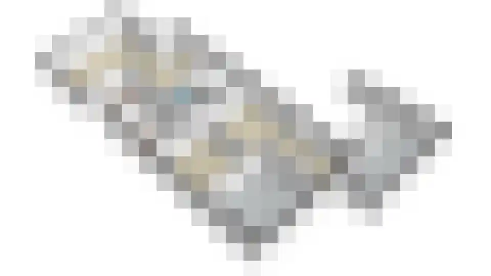 Hegge 3 Schinnen thumbnail 48