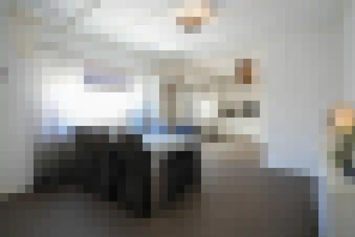 Hegge 3 Schinnen thumbnail 6