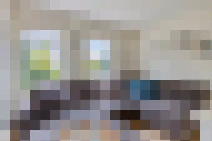 Hegge 32 Schinnen thumbnail 13