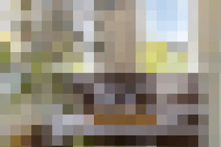 Hegge 32 Schinnen thumbnail 14
