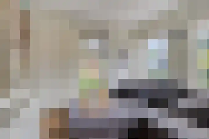 Hegge 32 Schinnen thumbnail 15