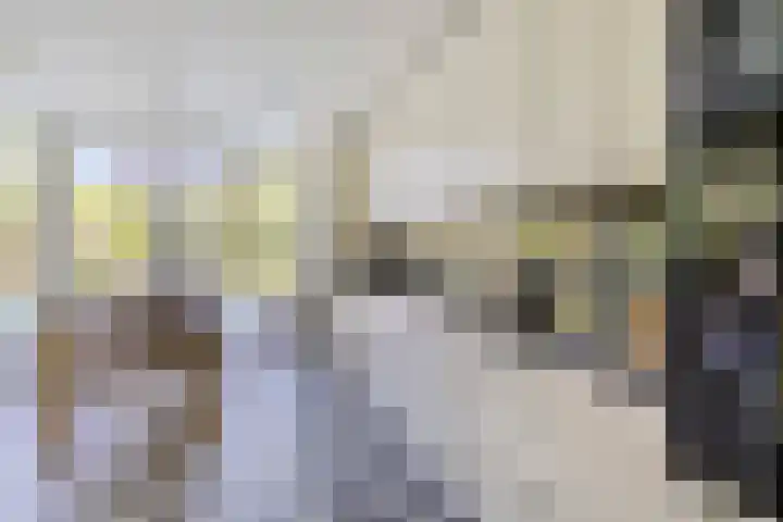Hegge 32 Schinnen thumbnail 16